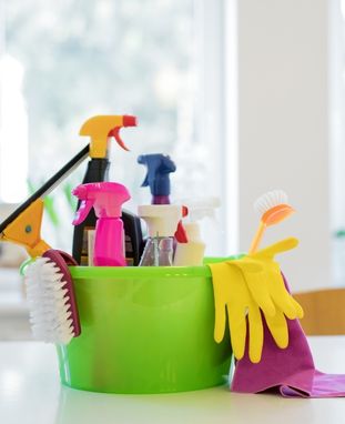 Esat Temizlik Şirketi